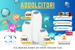 C&D srl