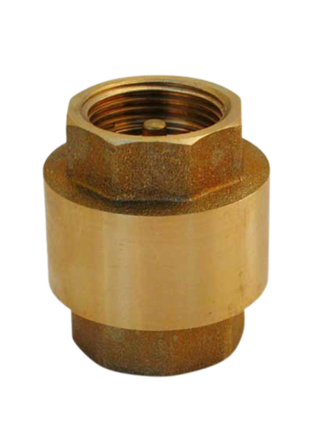 VALVOLA DI RITEGNO A MOLLA INSERTO IN PVC COD:CD-06604C