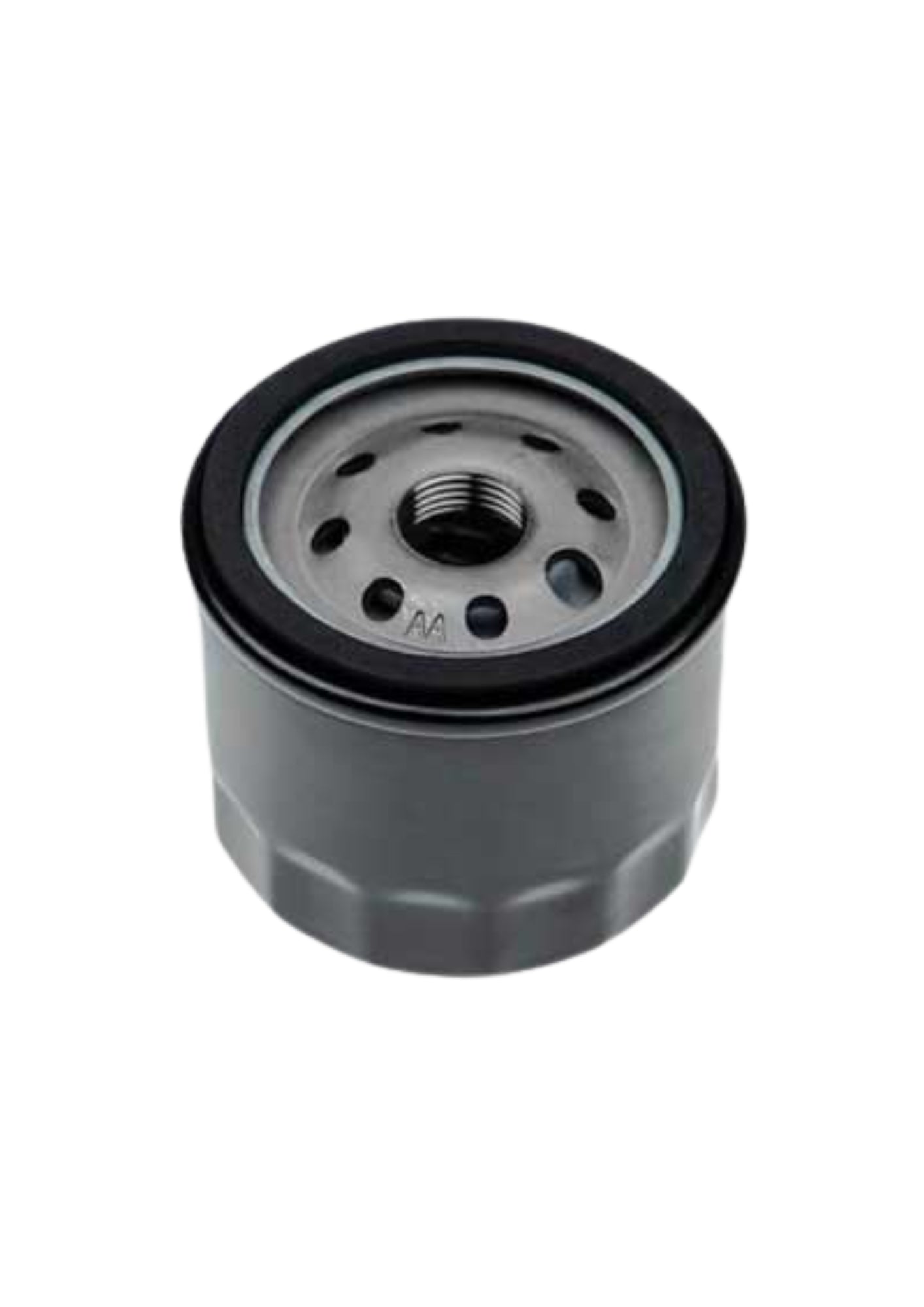 FILTRO ARIA PER SOFFIATORE A SCOPPIO IDEAL STAR     COD: CD-4117202CF