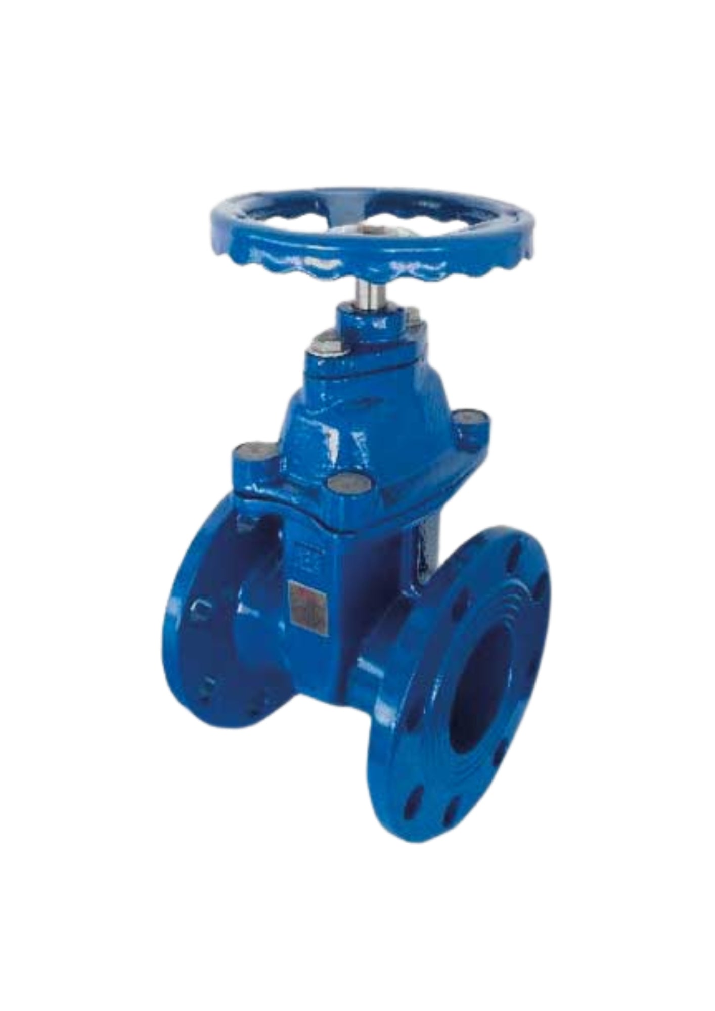 SARACINESCA CORPO PIATTO CUNEO GOMMATO PER FLANGIA COD: CD-07940C
