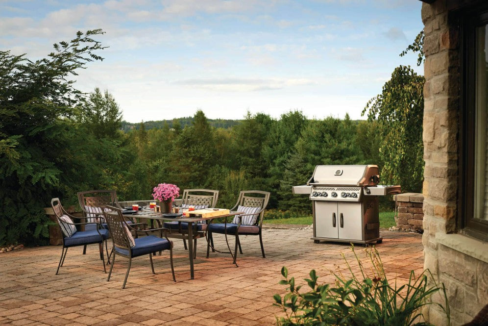 Rogue® SE 625 RSIB con bruciatori laterali e posteriori a infrarossi COD-CD:RSE625RSIB-N