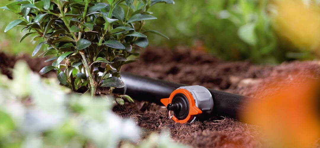 Microirrigazione e Irrigazione