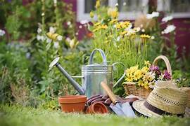 Terreno e Giardinaggio
