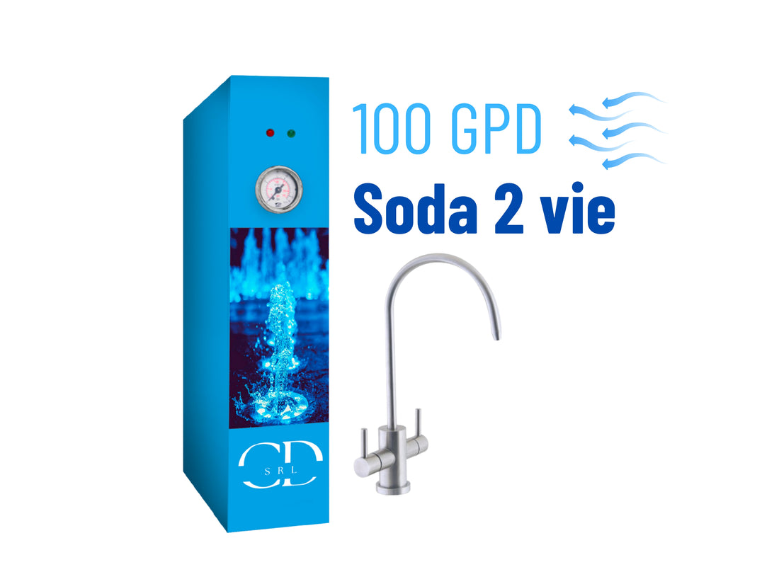 Osmosi inversa diretta CX250 SODA 2 vie pompa palette motore raff. aria 100GPD COD:CD-050015SG