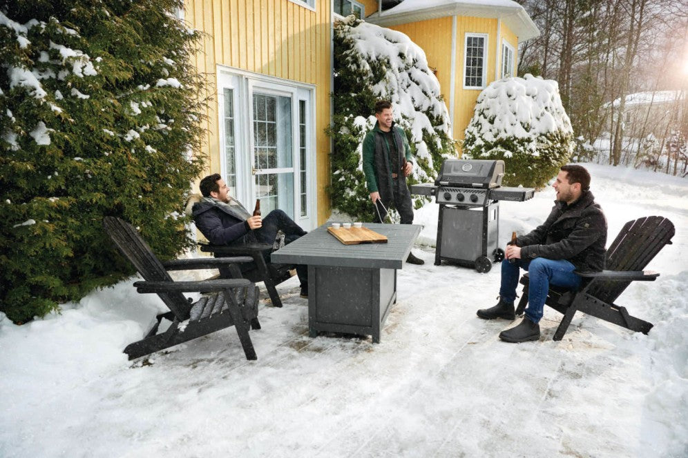 FREESTYLE 365 GAS BARBECUE COD: F365PGT-IT