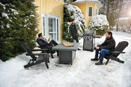 FREESTYLE 365 GAS BARBECUE COD: F365PGT-IT