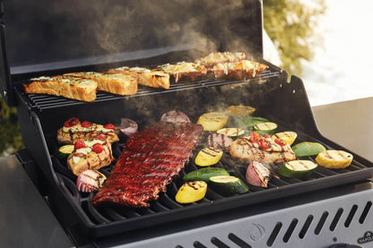 FREESTYLE 365 GAS BARBECUE COD: F365PGT-IT