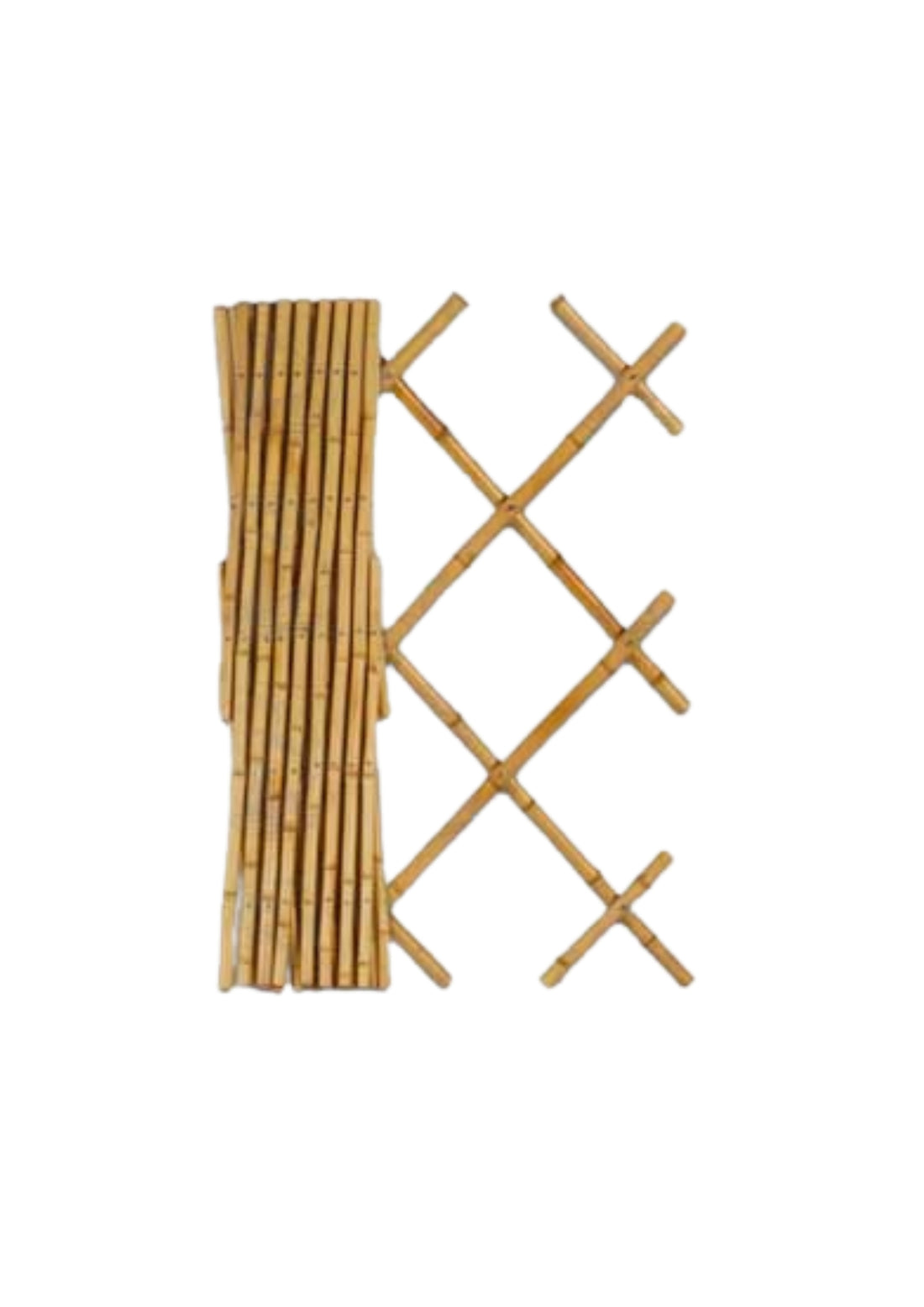 TRALICCIO BAMBOO  COD: CD-41902CF