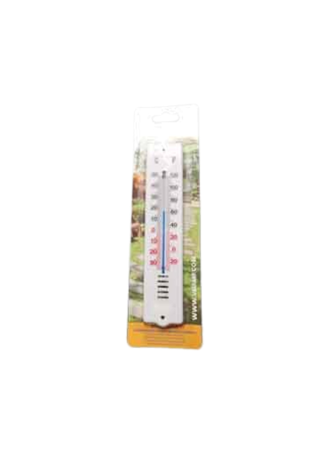 TERMOMETRO PER INTERNO/ESTERNO IN PLASTICA     COD: CD-6804402CF