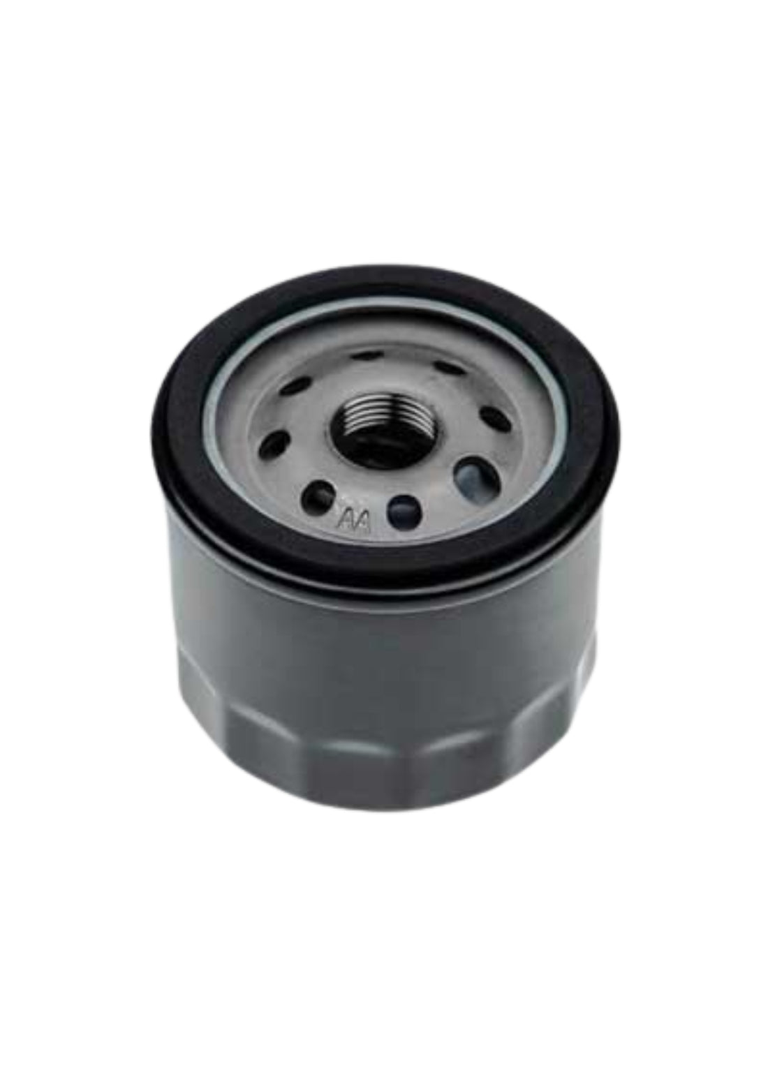 FILTRO ARIA PER SOFFIATORE A SCOPPIO IDEAL STAR     COD: CD-4117202CF